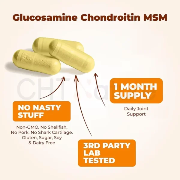 Glucosamine Chondroitin Capsules - Image 2