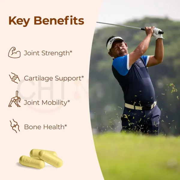 Glucosamine Chondroitin Capsules - Image 3