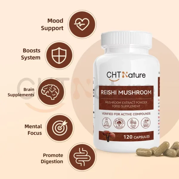 Reishi Mushroom Capsules - Image 3