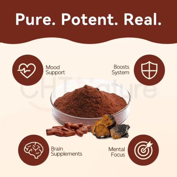 Chaga Mushroom Capsules - Image 4
