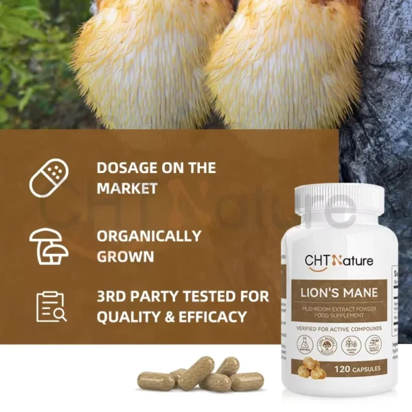 Lion's Mane Capsules - Image 4
