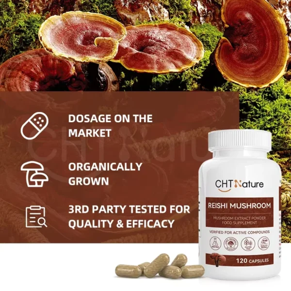 Reishi Mushroom Capsules - Image 4
