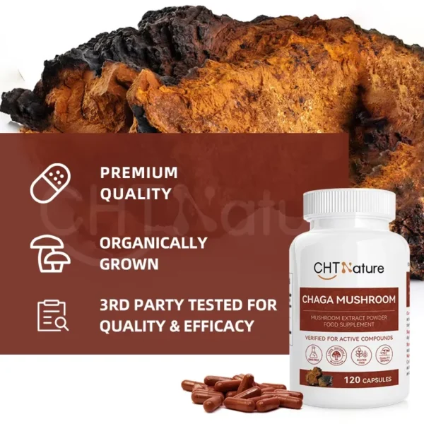 Chaga Mushroom Capsules - Image 3