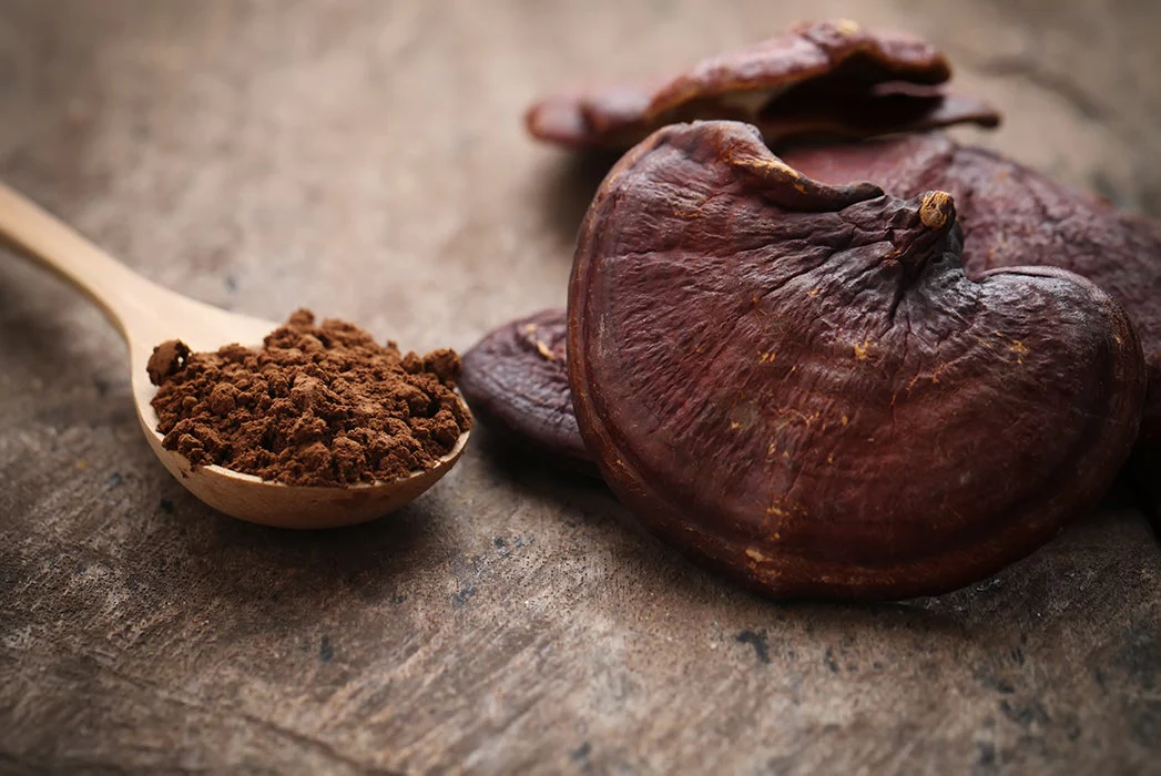 Reishi Mushroom
