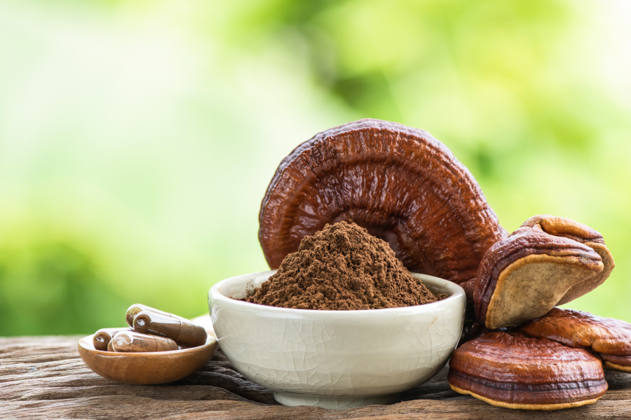 QNL_Blog_-_Reishi_mushroom_powder_caps_