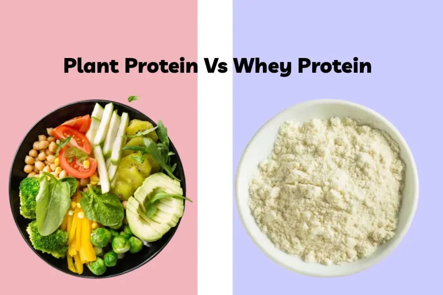 Whey vs. Plant Protein